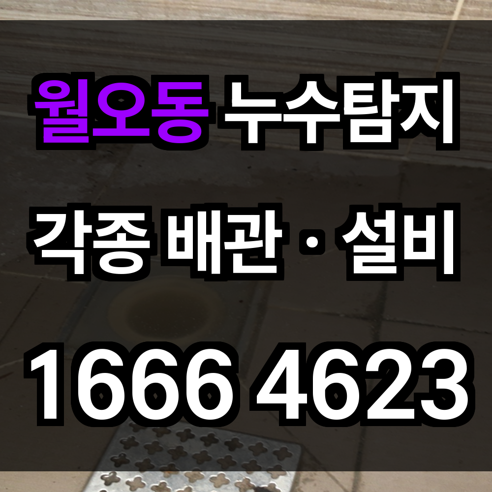 월오동 누수탐지