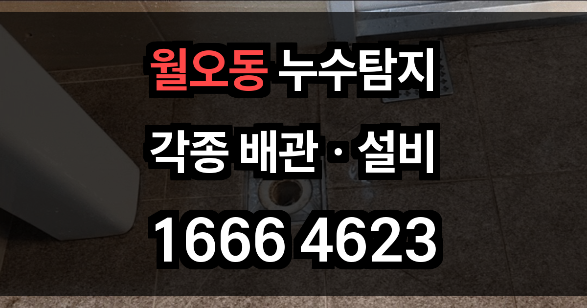 월오동 누수탐지