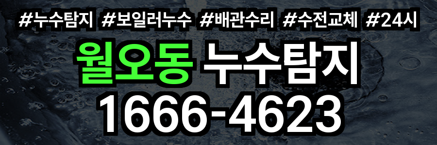 월오동 누수탐지