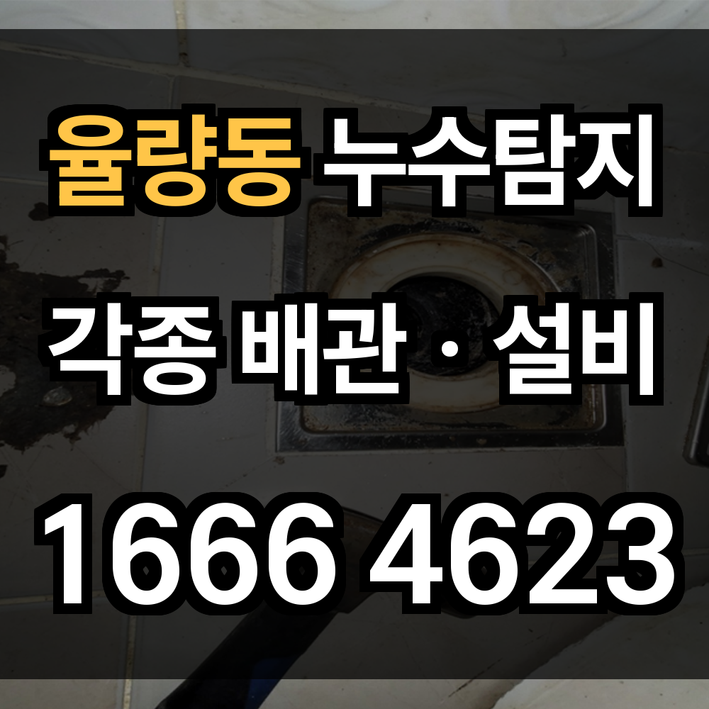 율량동 누수탐지