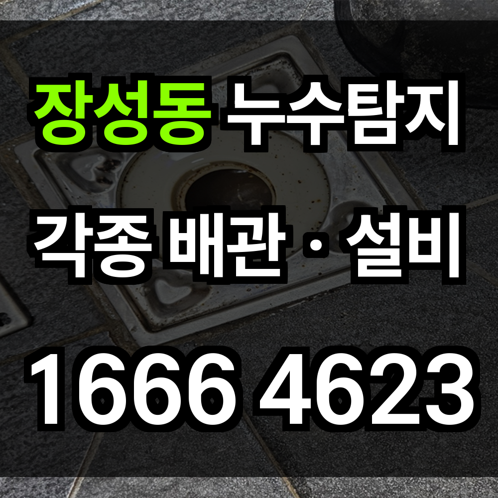 장성동 누수탐지