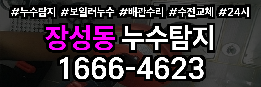 장성동 누수탐지