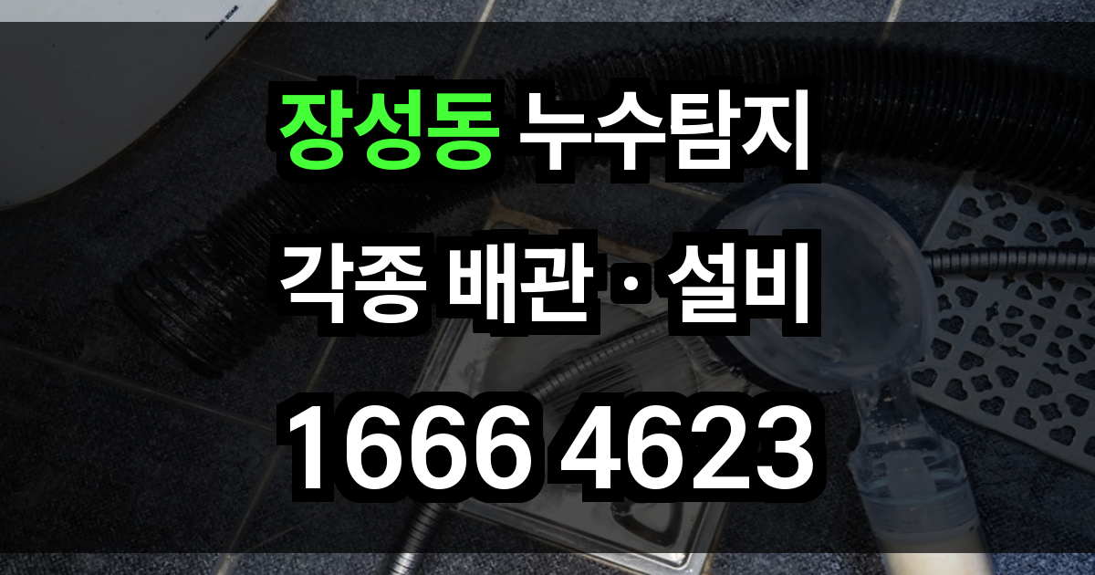 장성동 누수탐지