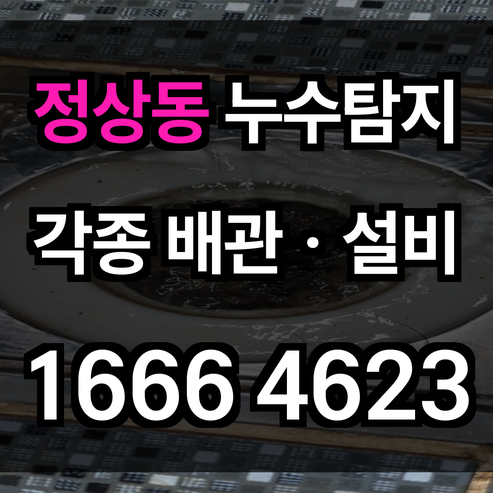 정상동 누수탐지