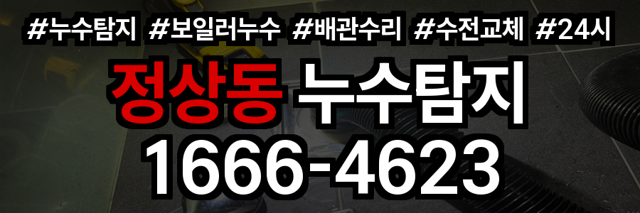 정상동 누수탐지