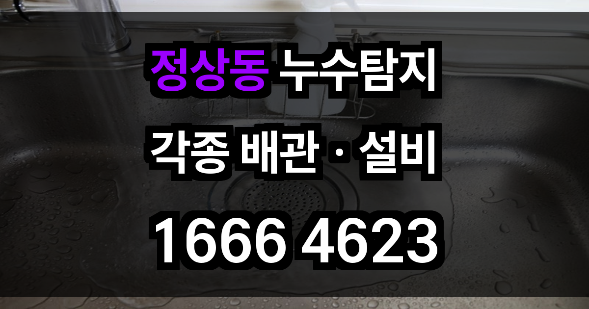 정상동 누수탐지