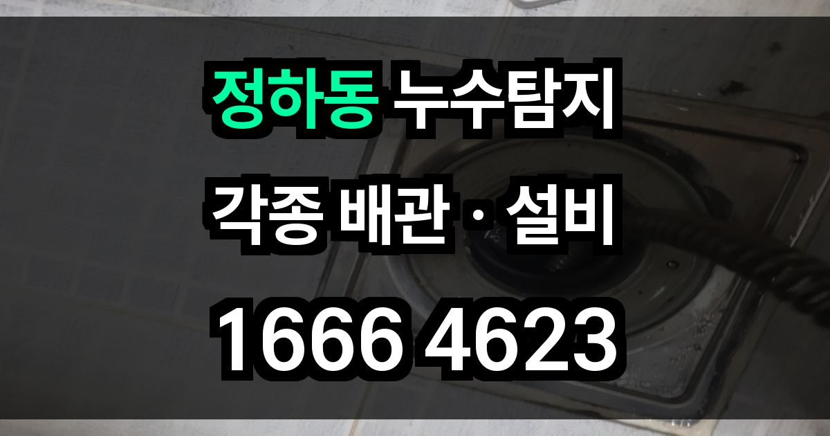 정하동 누수탐지