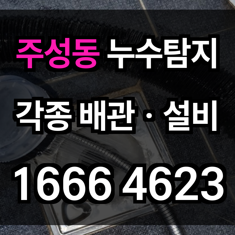 주성동 누수탐지