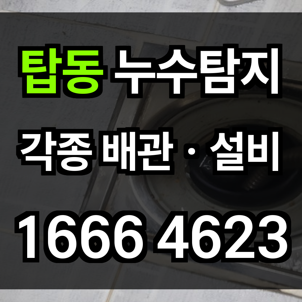 탑동 누수탐지 구조 복합 지역에도 정확히 대응하는 정밀 진단 시스템
