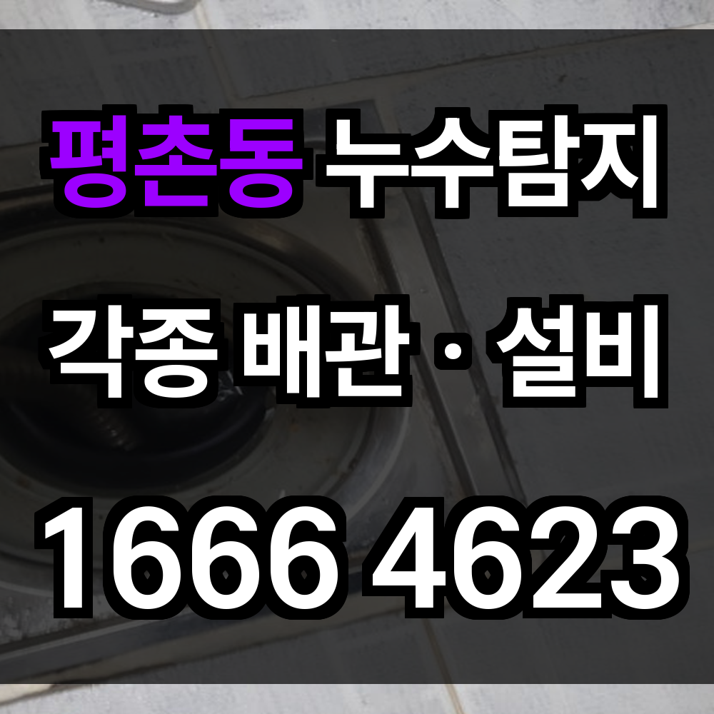 평촌동 누수탐지 정밀 진단과 최소 수리로 누수 문제 빠르게 해결