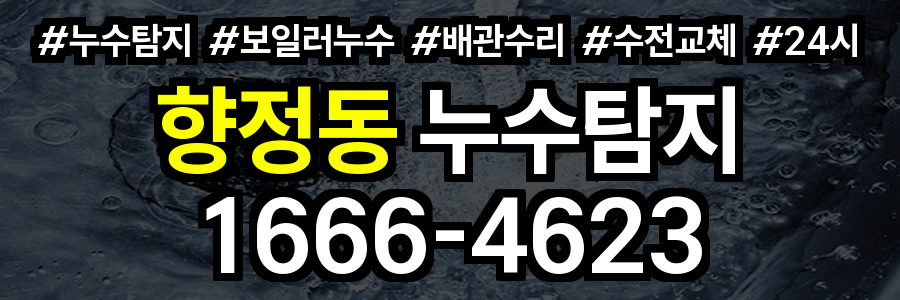 향정동 누수탐지