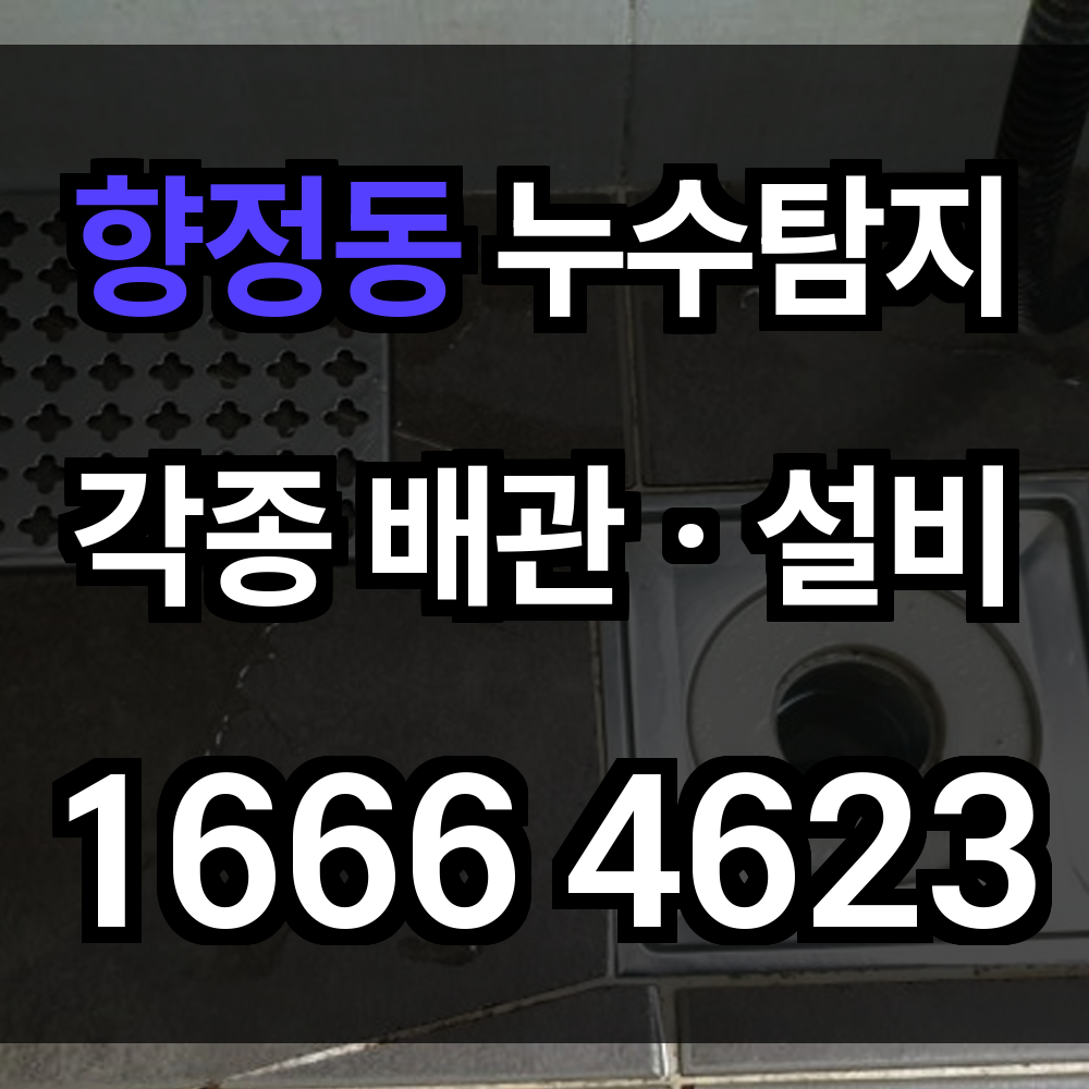 향정동 누수탐지 보이지 않아도 놓치지 않는 실내 누수의 완벽한 해결책