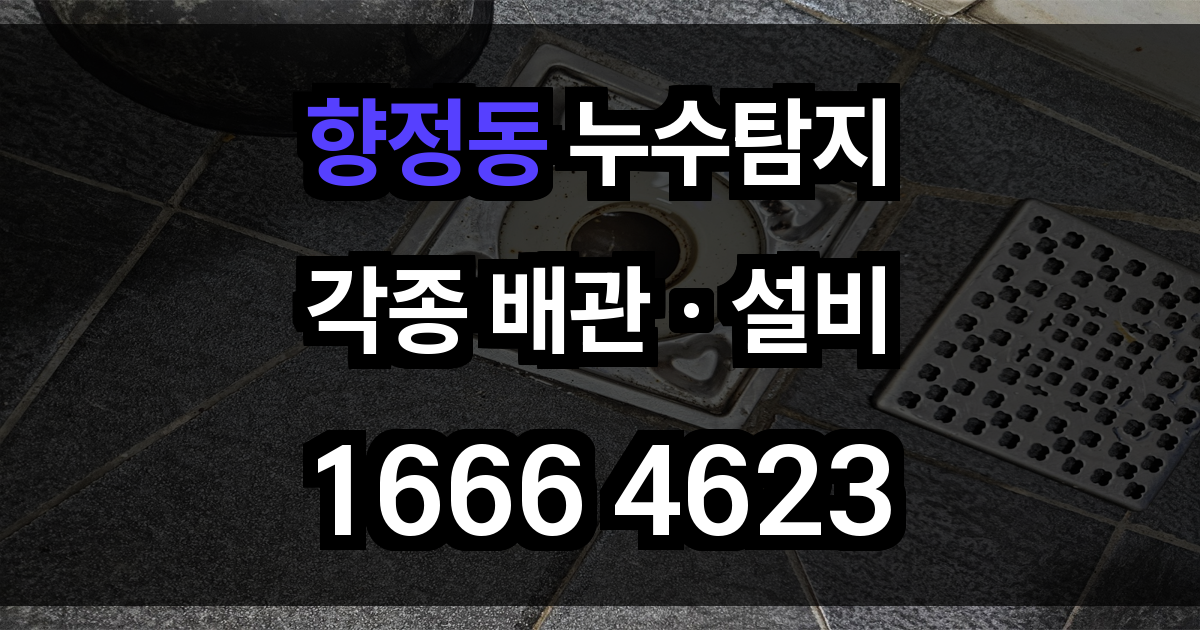 향정동 누수탐지