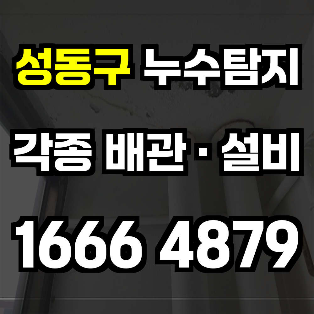 성동구 누수탐지