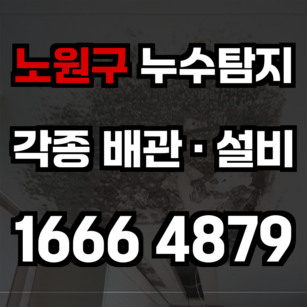 노원구 누수탐지