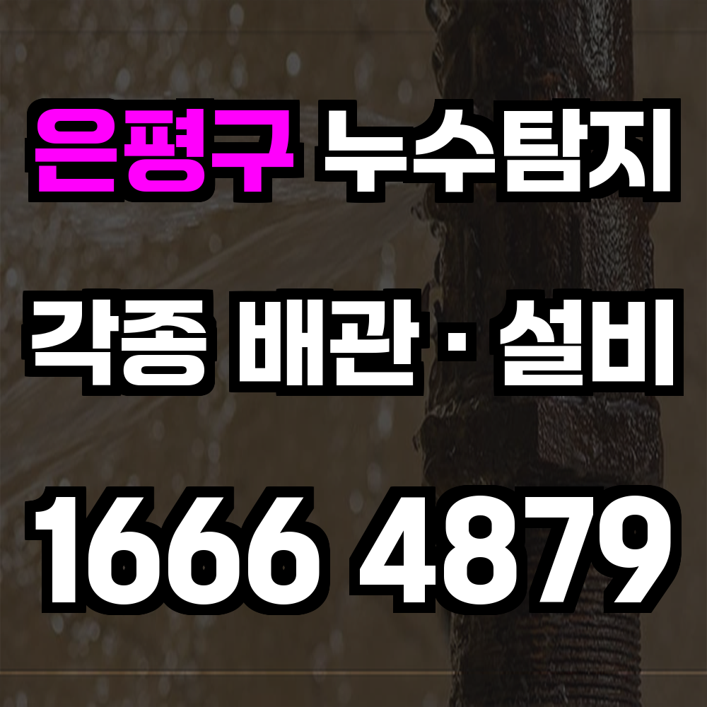 은평구 누수탐지