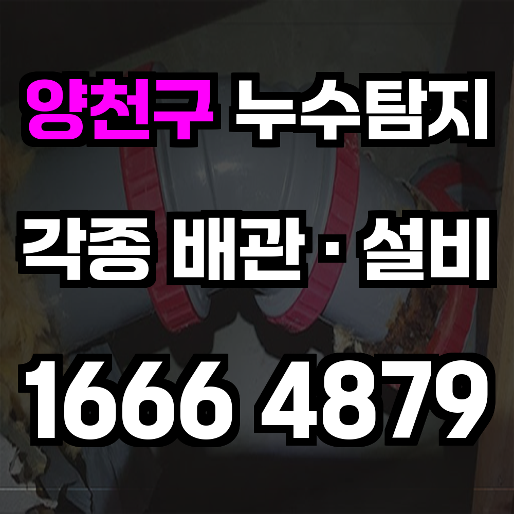 양천구 누수탐지 아파트 빌라 맞춤 해체 없는 정밀 진단