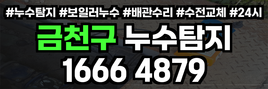 금천구 누수탐지
