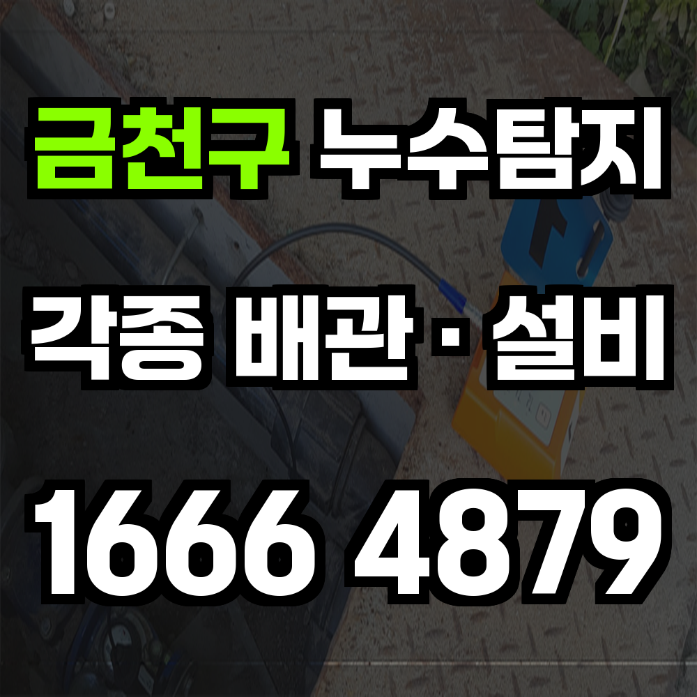 금천구 누수탐지 노후 주택과 공장 시설까지 맞춤 진단