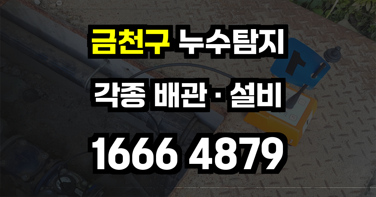 금천구 누수탐지