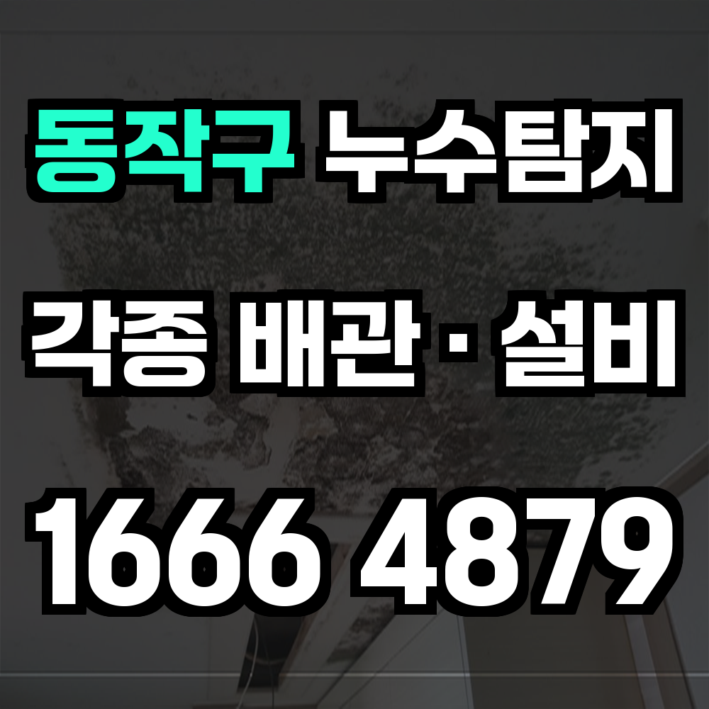 동작구 누수탐지 고지대 저지대 구조에 맞춘 정밀 진단 서비스