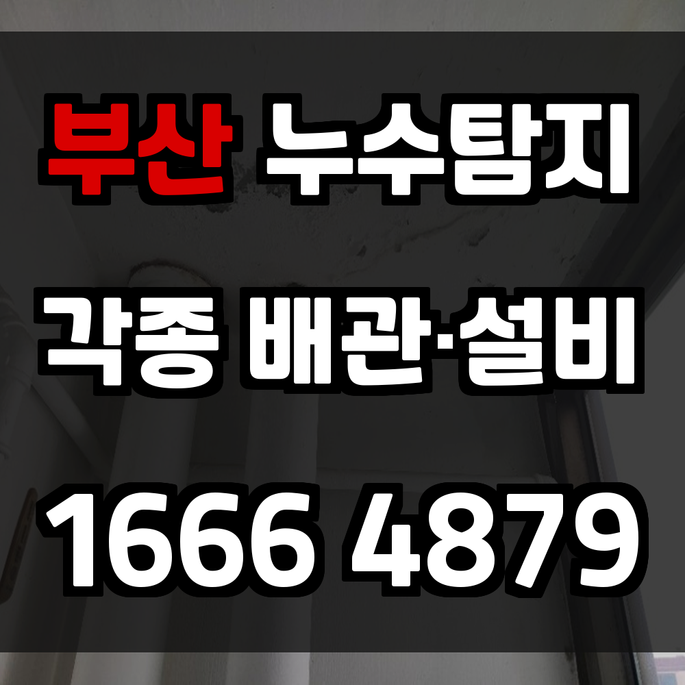 부산 누수탐지 빠르고 정확한 장비 진단으로 피해 최소화