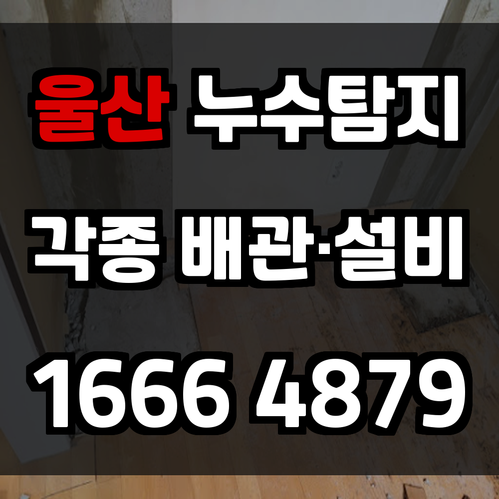 울산 누수탐지 다양한 건물 구조에 맞춘 정밀 진단