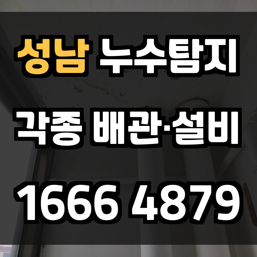 성남 누수탐지 손상 없는 정밀 진단으로 빠르게 누수 해결