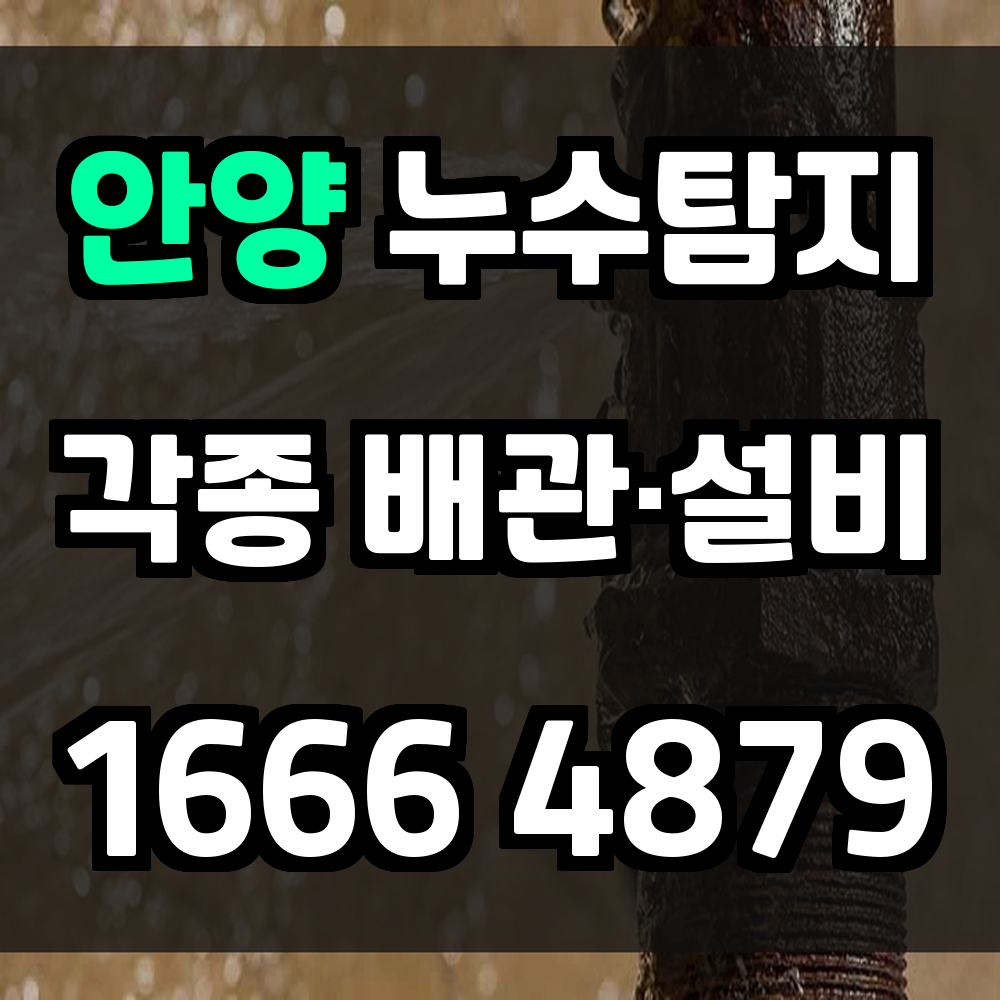 안양 누수탐지 전문가의 진단으로 피해 최소화
