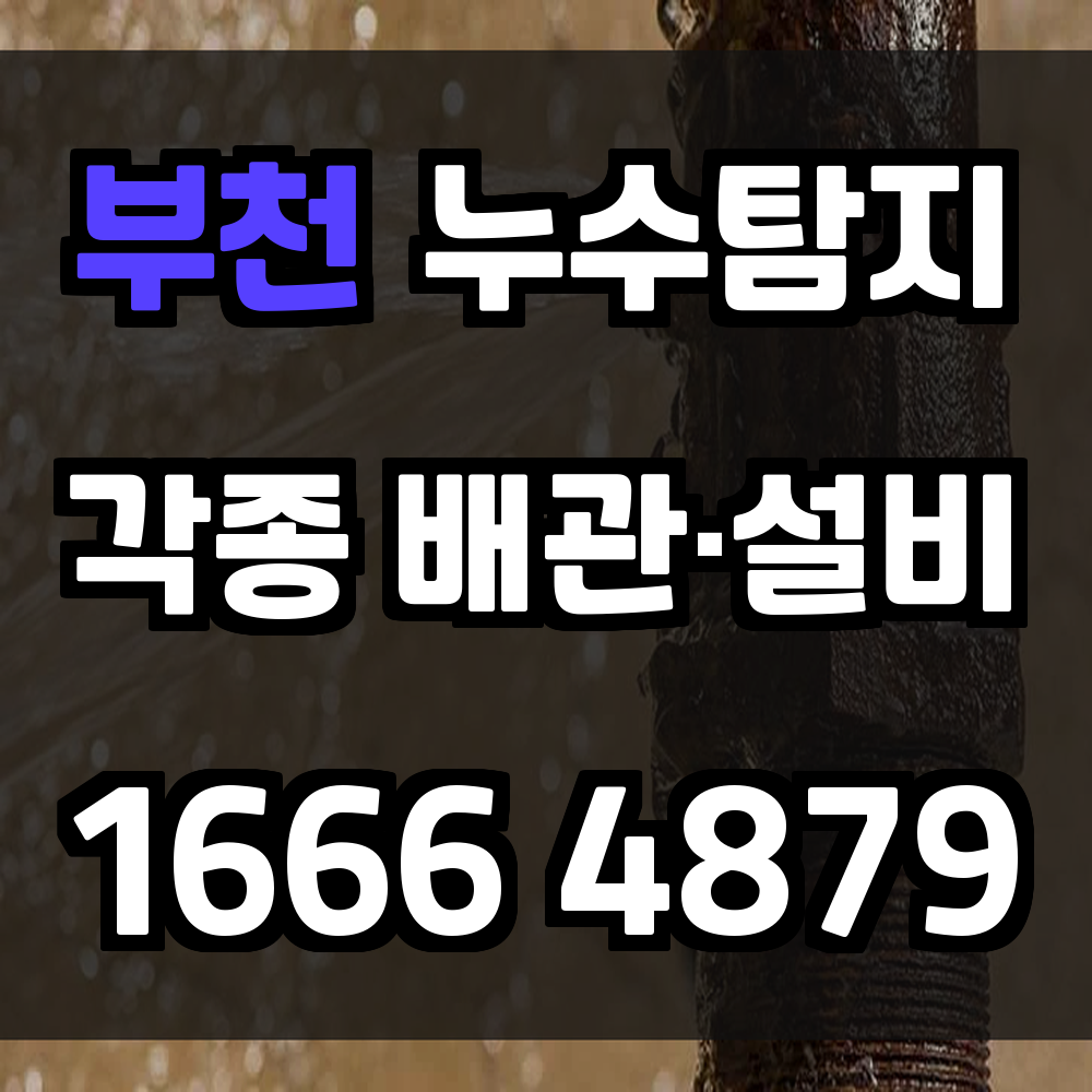 부천 누수탐지 숨은 누수도 놓치지 않는 고정밀 탐지 서비스