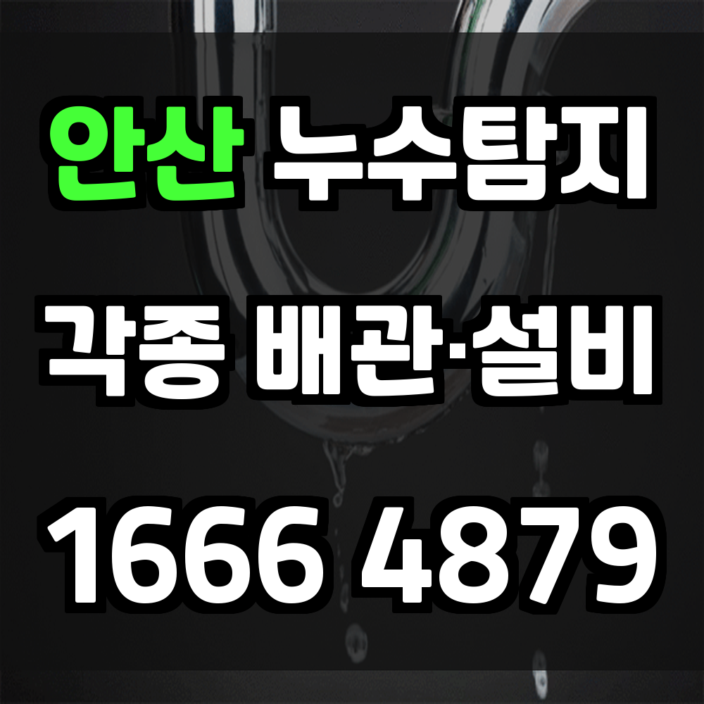 안산 누수탐지 정확한 진단으로 손실 최소화