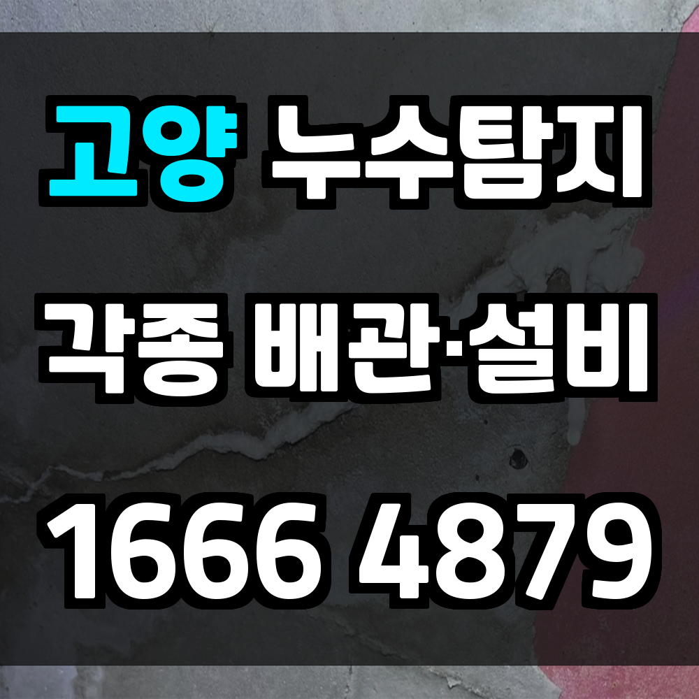 고양 누수탐지 배관 문제를 빠르게 감지하는 스마트한 선택