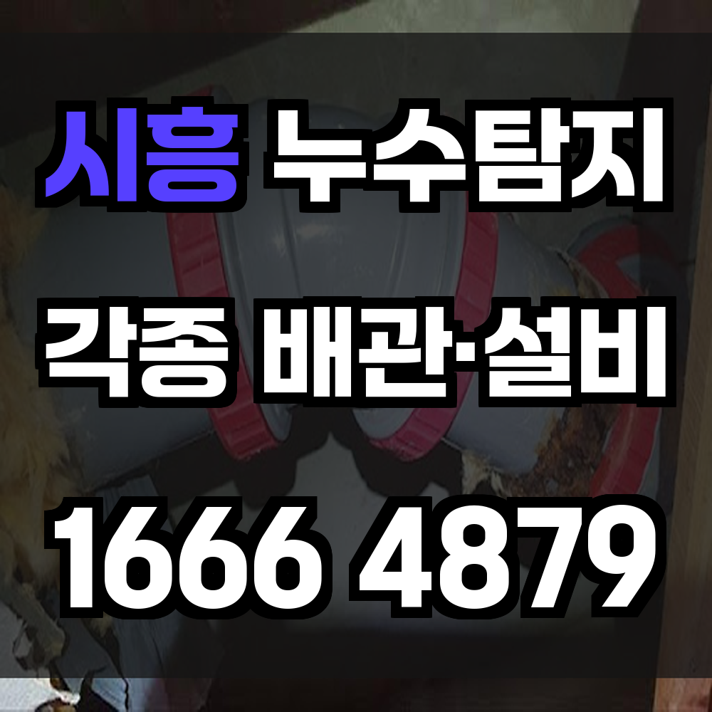 시흥 누수탐지 사전 진단으로 누수 피해를 예방하세요