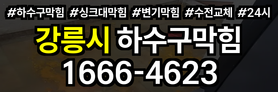 강릉시 하수구 막힘