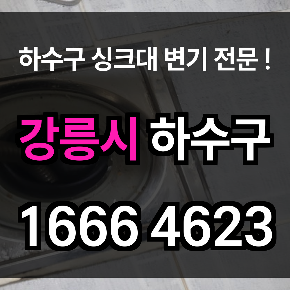 강릉시 하수구 막힘