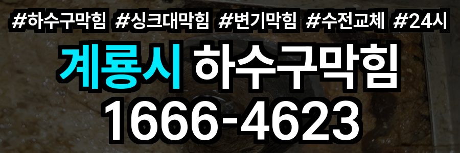 계룡시 하수구 막힘