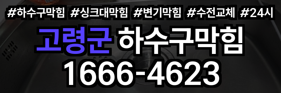 고령군 하수구 막힘