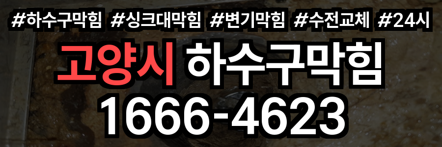 고양시 하수구 막힘