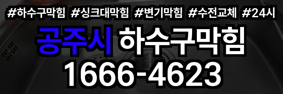 공주시 하수구 막힘