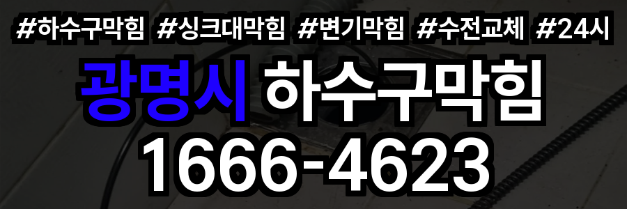 광명시 하수구 막힘