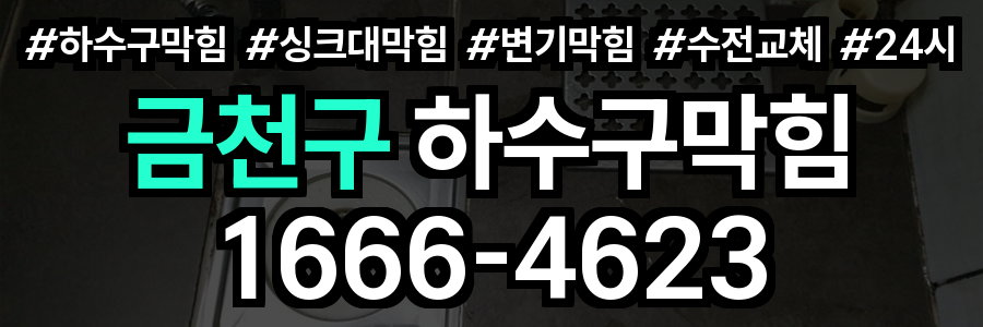 금천구 하수구 막힘