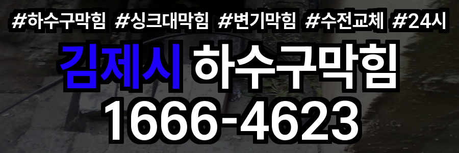 김제시 하수구 막힘