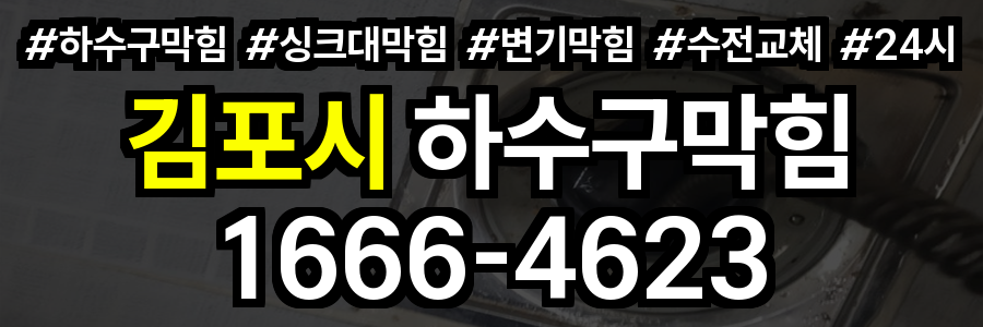 김포시 하수구 막힘