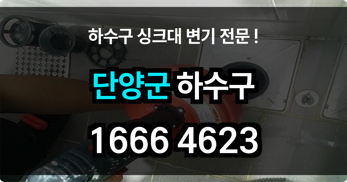 단양군 하수구 막힘