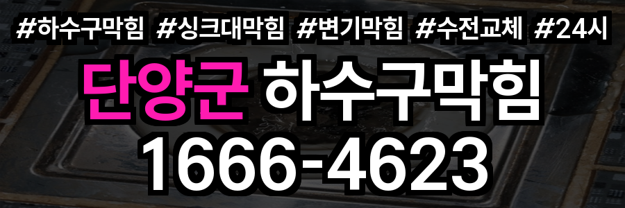 단양군 하수구 막힘