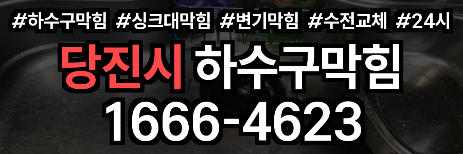 당진시 하수구 막힘