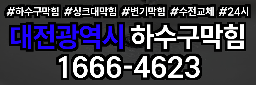 대전광역시 하수구 막힘