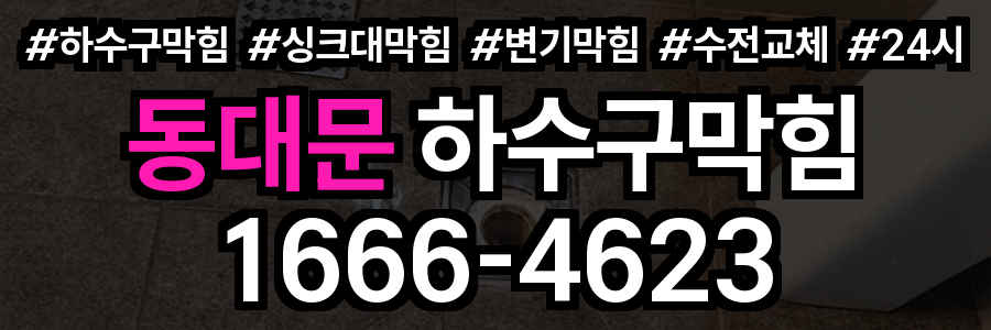 동대문 하수구 막힘