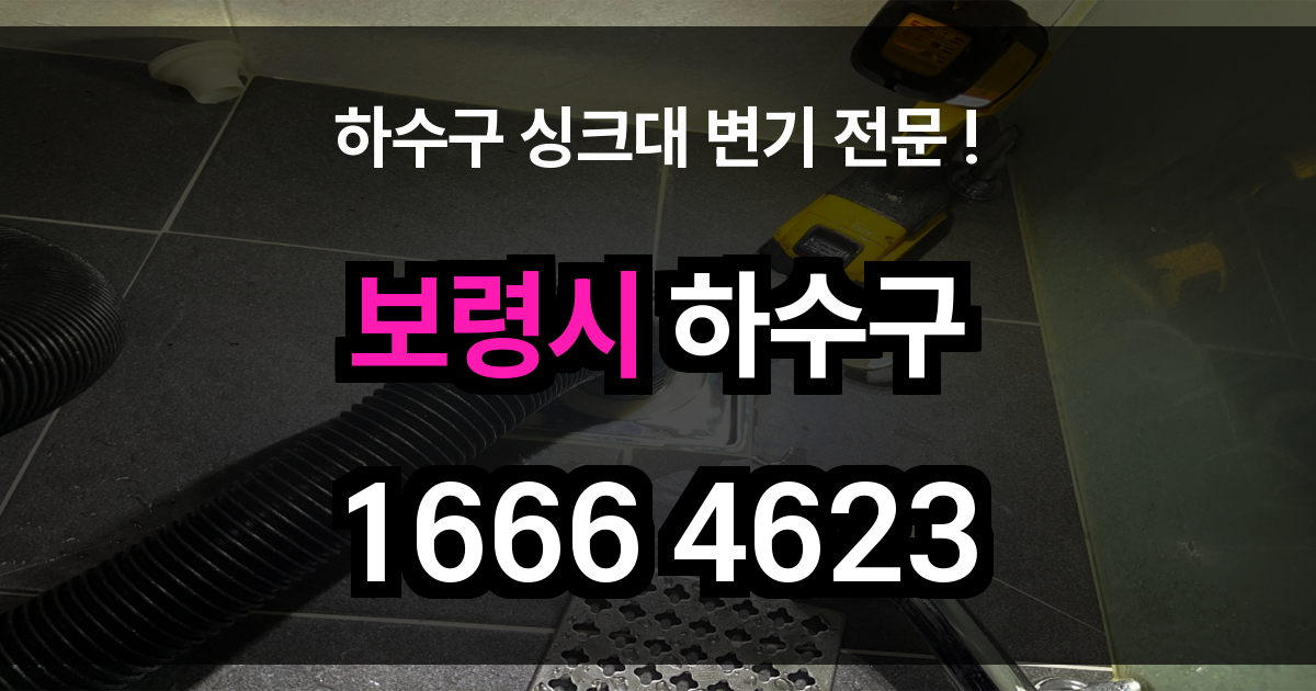보령시 하수구 막힘