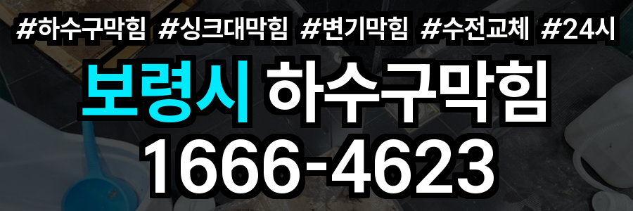 보령시 하수구 막힘